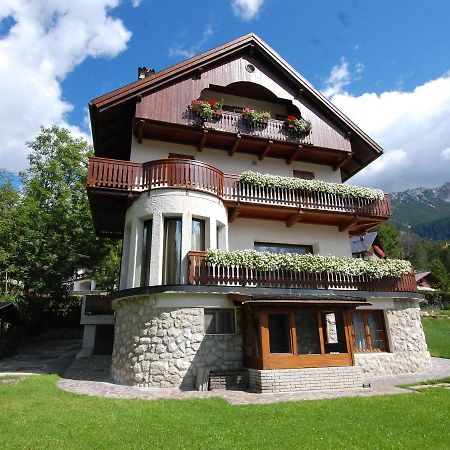 Apartment La Montanina By Interhome コルティーナ・ダンペッツォ エクステリア 写真